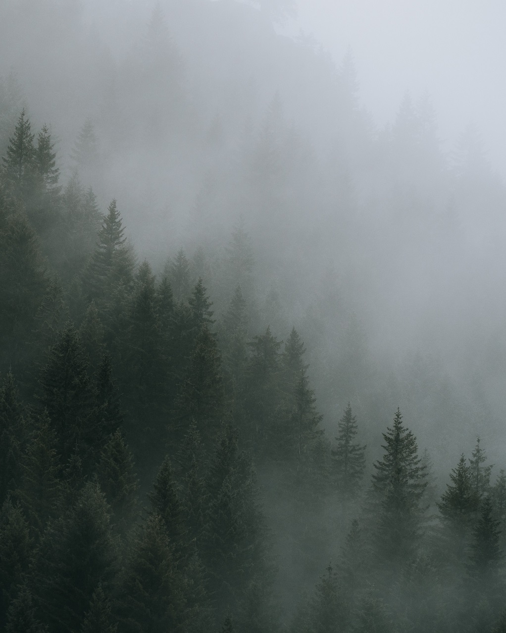 image_3.jpg